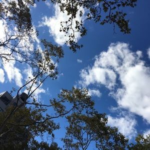 Meet your Posher, Sabine